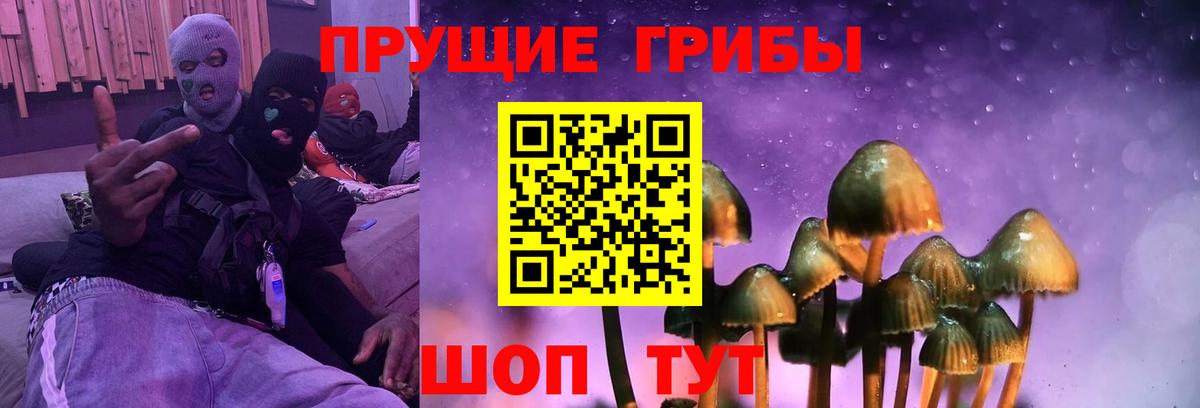 Псилоцибиновые грибы мицелий Ржев